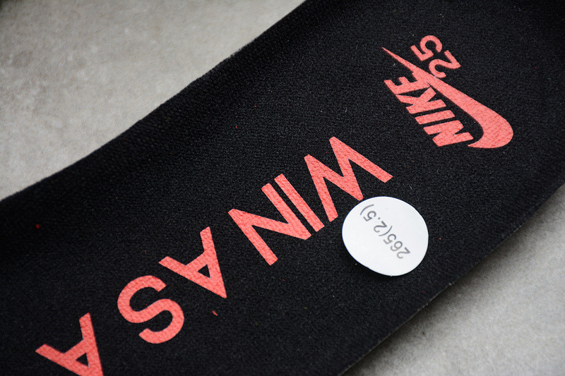 Nike SB Dunk Low 309242-307