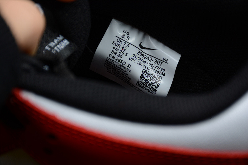 Nike SB Dunk Low 309242-307