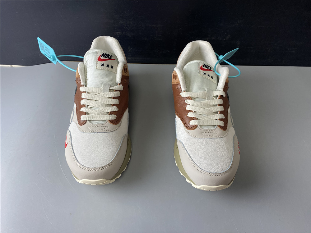 Nike Air Max 1 Amsterdam CV1638 200