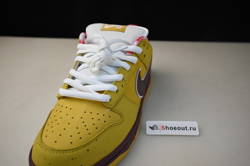 Nike SB Dunk Low “Lobster” 313170-137566