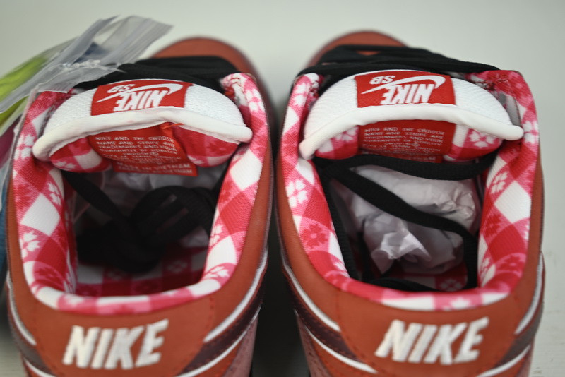 Nike SB Dunk Low “Lobster” 313170-661