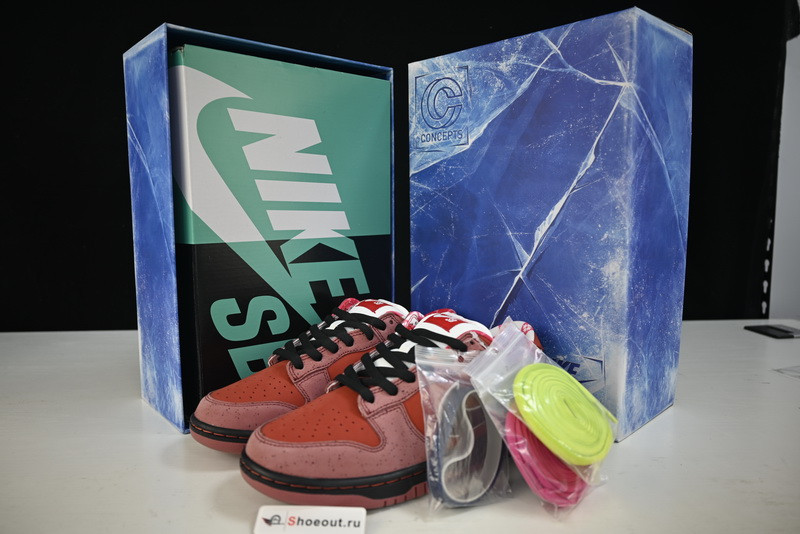 Nike SB Dunk Low “Lobster” 313170-661