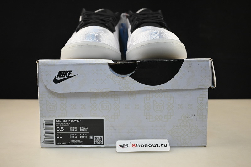 Nike Dunk Low FN0315-110