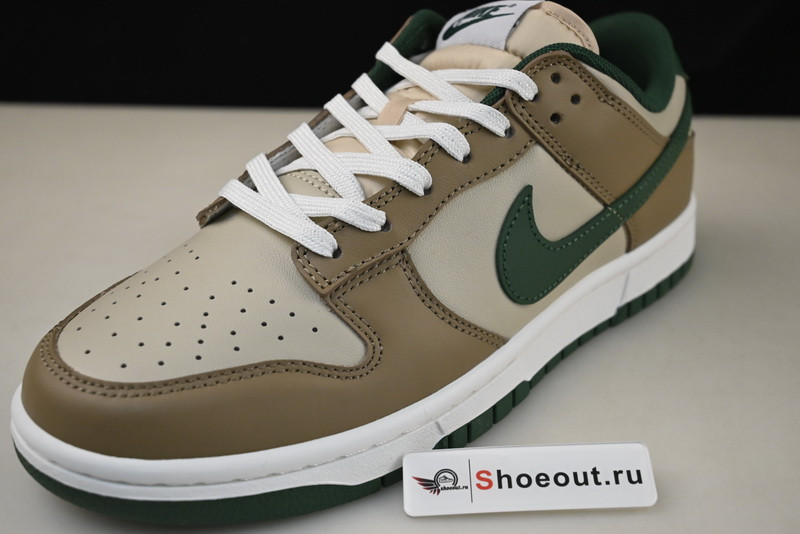 Nike Dunk Low FB7160-231