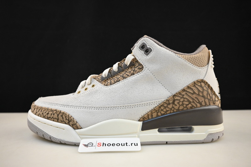 Air Jordan 3 “Palomino”  CT8532-102