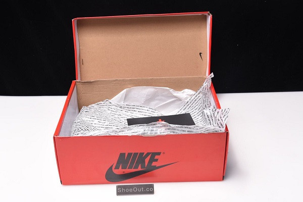 Air Jordan 1 Retro High OG “Fearless” CK5666-100