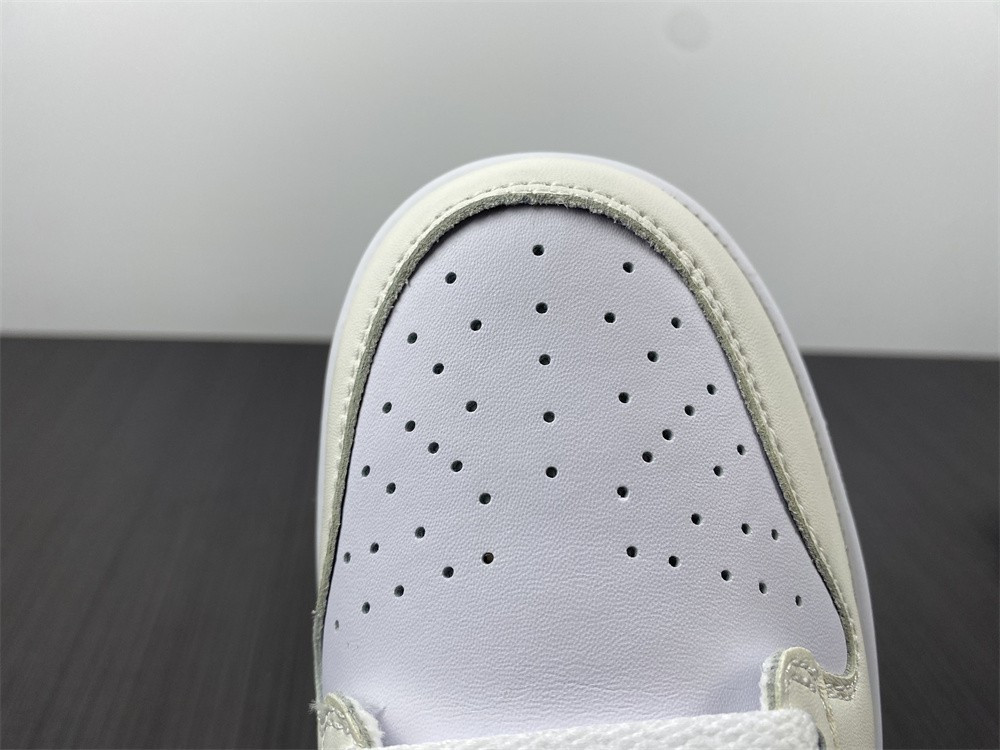 Nike Dunk Low Move To Zero DD1873-101