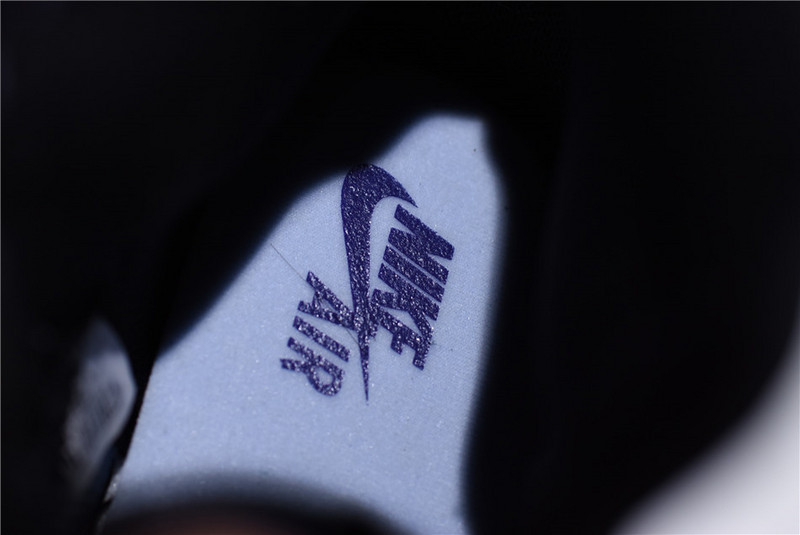 Air Jordan 1 Court Purple 555088-501