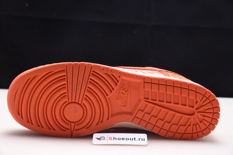 Nike Dunk Low NH Winter Solstice (W) DO6723-800