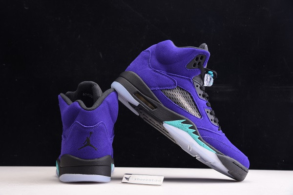 Air Jordan 5 Retro Alternate Grape 136027-500