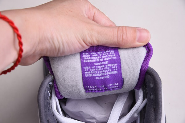 Nike Dunk SB Low Purple Pigeon 304292-051