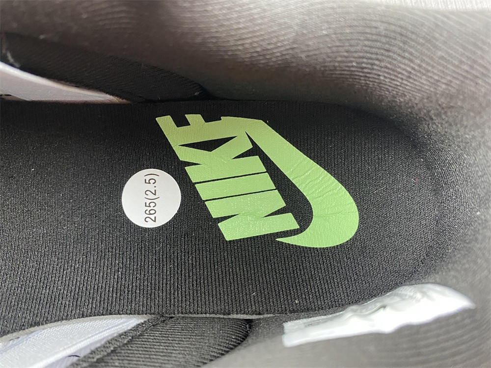 Nike Dunk Low Disrupt 2 “Just Do It” DV1490-161