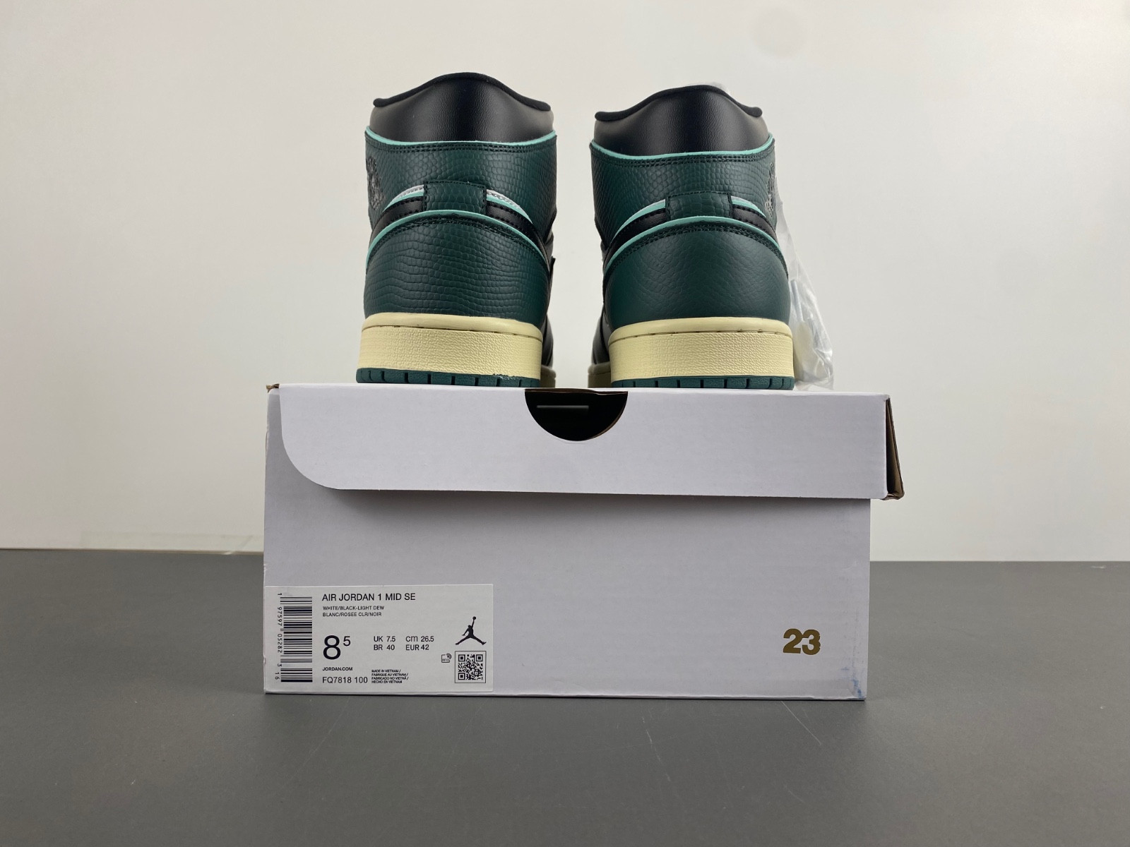 Air Jordan 1 Mid WMNS FQ7818-100