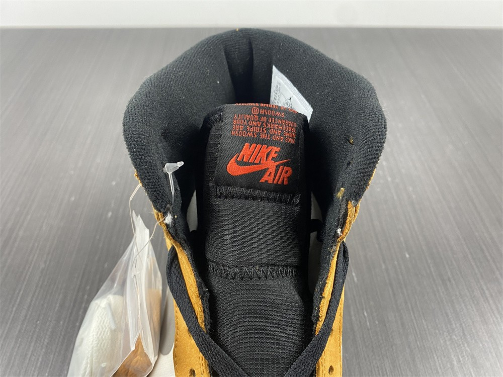 Air Jordan 1 Element Gore-Tex “Light Curry” DB2889-700