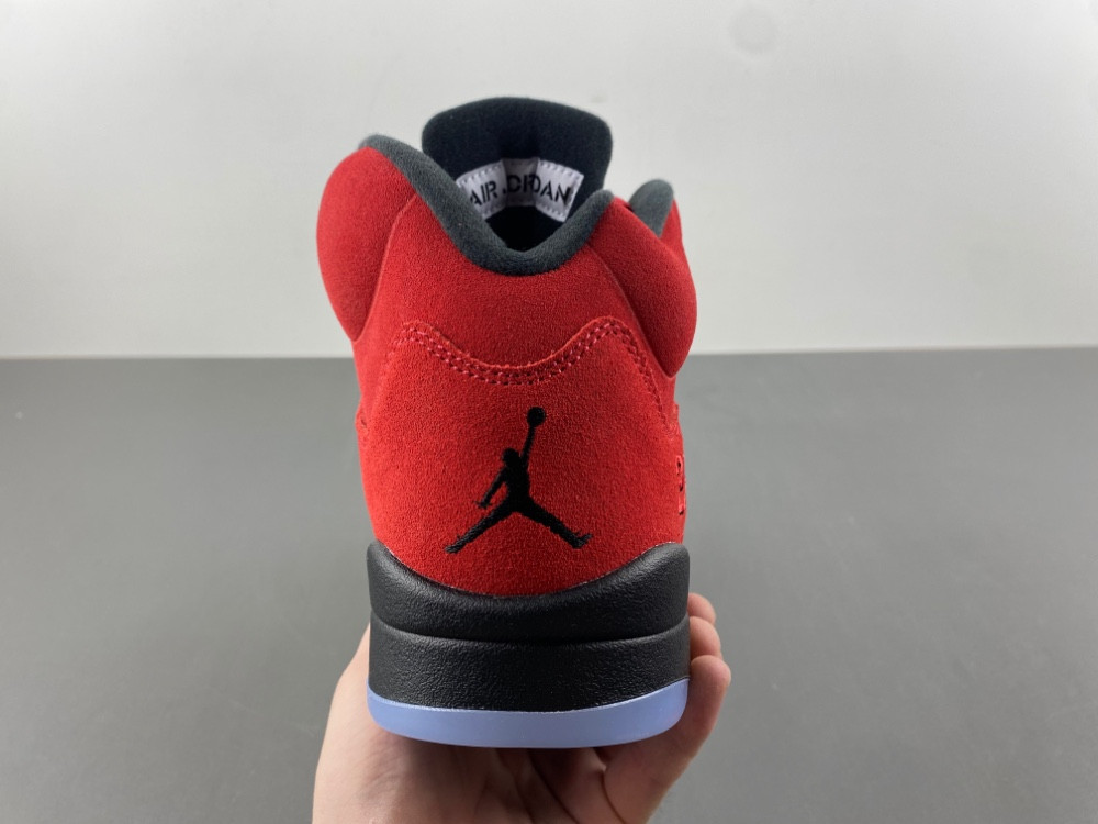 Air Jordan 5 CO0587-600